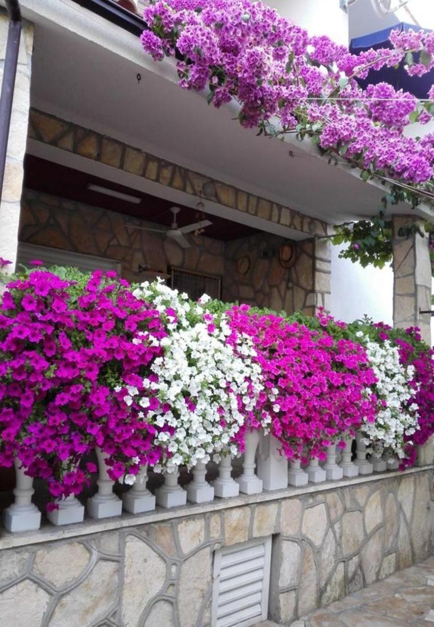 Apartments Dobri - 500M From Beach Nin Εξωτερικό φωτογραφία